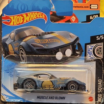 MUSCLE AND BLOWN HOT WHEELS